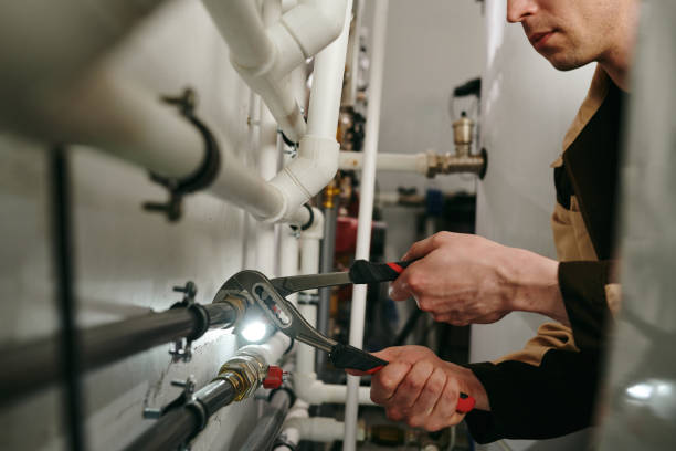 Best Local Plumber Services  in Arden Hills, MN