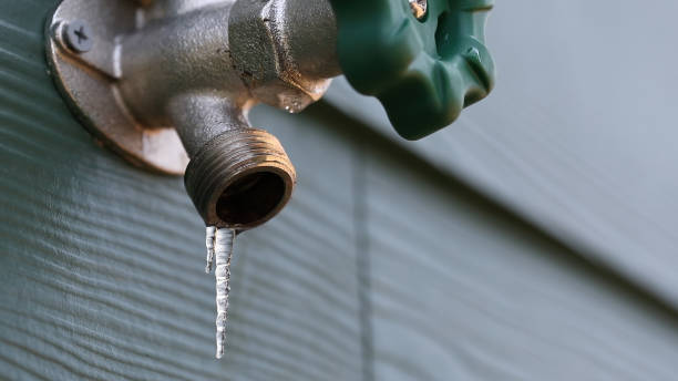 Best Affordable Plumbing Services  in Arden Hills, MN
