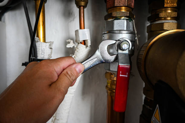Best Commercial Plumbing Services  in Arden Hills, MN